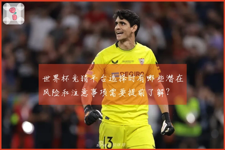世界杯竞猜平台选择时有哪些潜在风险和注意事项需要提前了解？