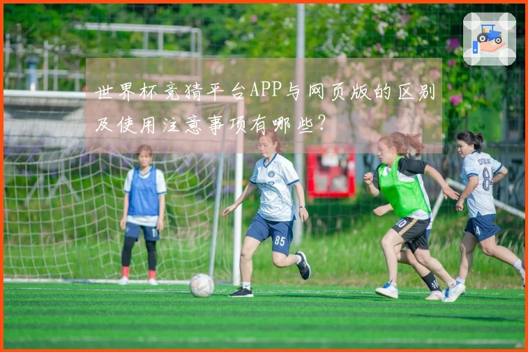 世界杯竞猜平台APP与网页版的区别及使用注意事项有哪些？