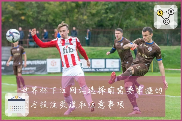 世界杯下注网站选择前需要掌握的官方投注渠道和注意事项