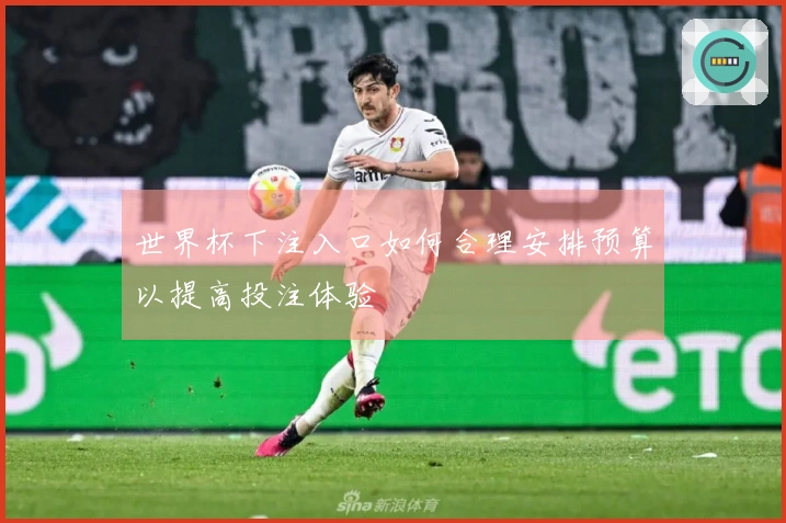 世界杯下注入口如何合理安排预算以提高投注体验