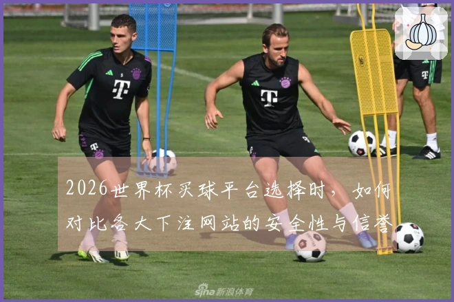 2026世界杯买球平台选择时，如何对比各大下注网站的安全性与信誉度？