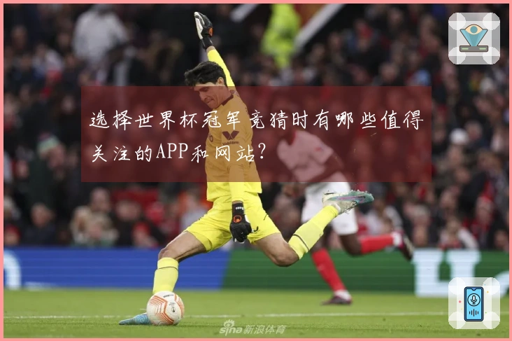 选择世界杯冠军竞猜时有哪些值得关注的APP和网站？