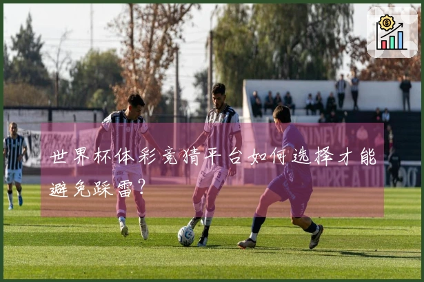 世界杯体彩竞猜平台如何选择才能避免踩雷？