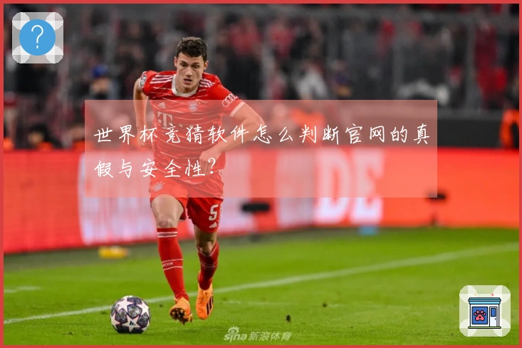 世界杯竞猜软件怎么判断官网的真假与安全性?