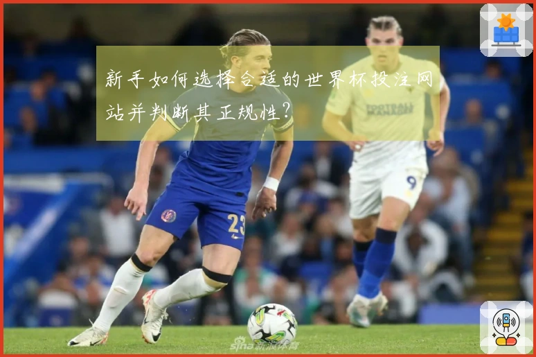 新手如何选择合适的世界杯投注网站并判断其正规性？