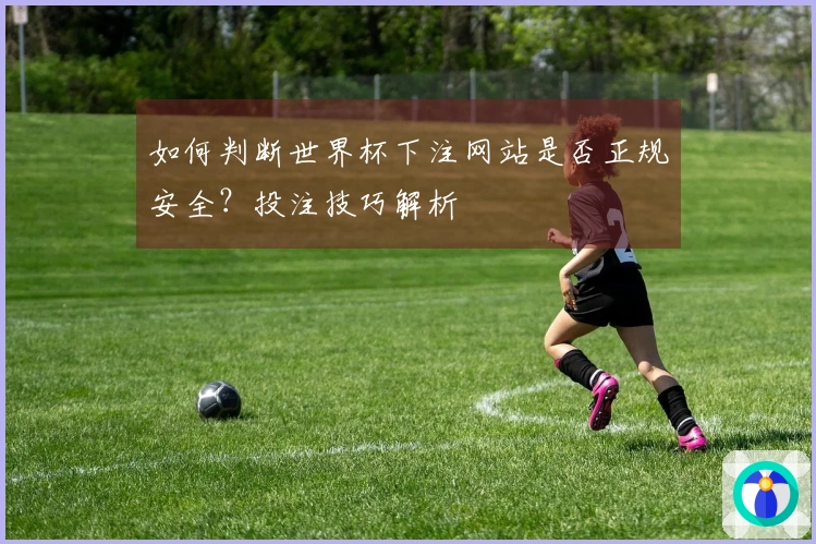 如何判断世界杯下注网站是否正规安全？投注技巧解析