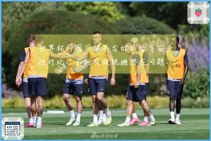 世界杯外围买球平台的风险与安全性对比，如何有效规避潜在问题？