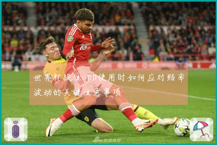 世界杯投注app使用时如何应对赔率波动的关键注意事项