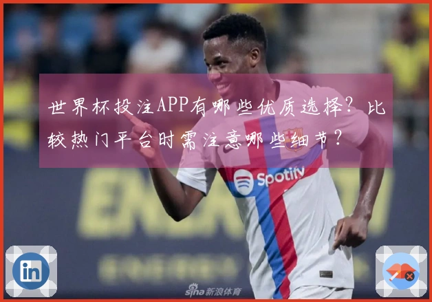 世界杯投注APP有哪些优质选择？比较热门平台时需注意哪些细节？