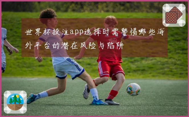 世界杯投注app选择时需警惕哪些海外平台的潜在风险与陷阱