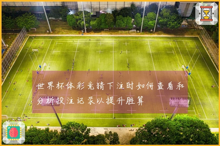 世界杯体彩竞猜下注时如何查看和分析投注记录以提升胜算