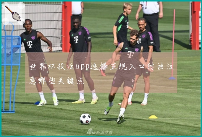 世界杯投注app选择正规入口时该注意哪些关键点