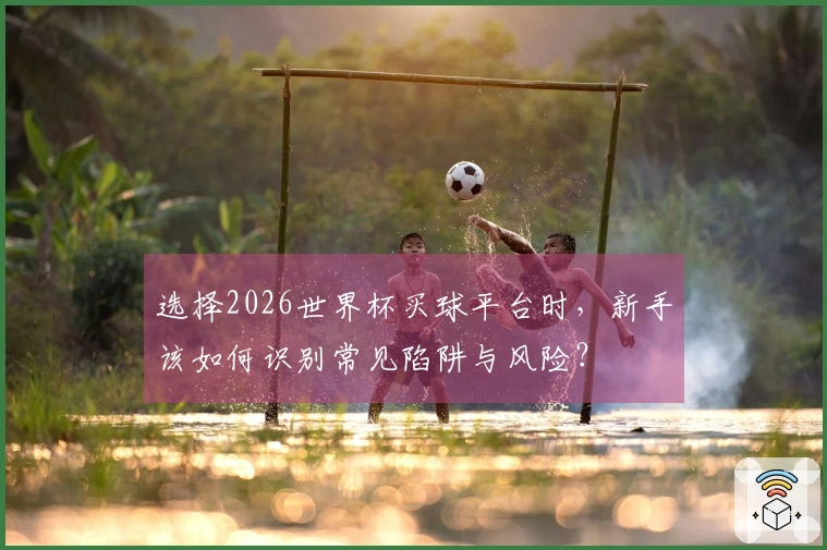 选择2026世界杯买球平台时，新手该如何识别常见陷阱与风险？