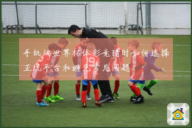 手机端世界杯体彩竞猜时如何选择正规平台和避免常见问题