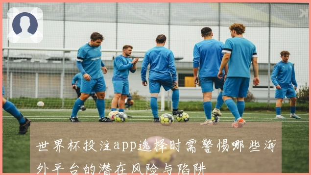 世界杯投注app选择时需警惕哪些海外平台的潜在风险与陷阱