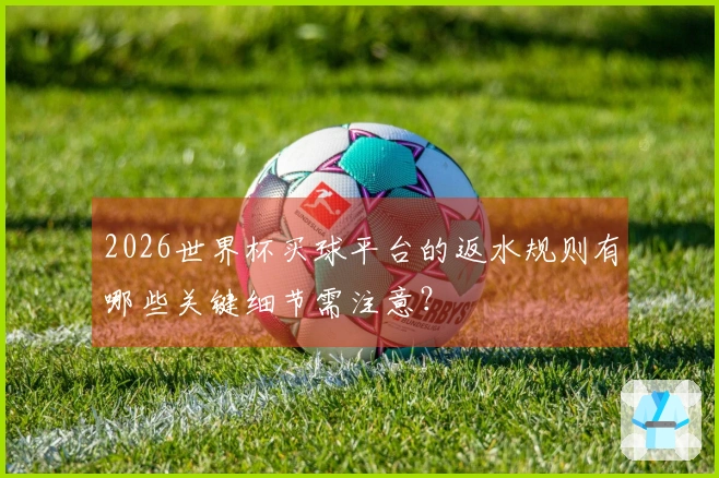 2026世界杯买球平台的返水规则有哪些关键细节需注意？