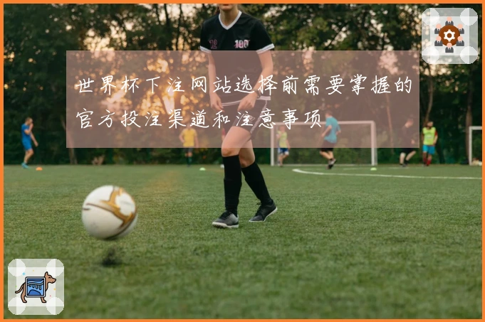 世界杯下注网站选择前需要掌握的官方投注渠道和注意事项