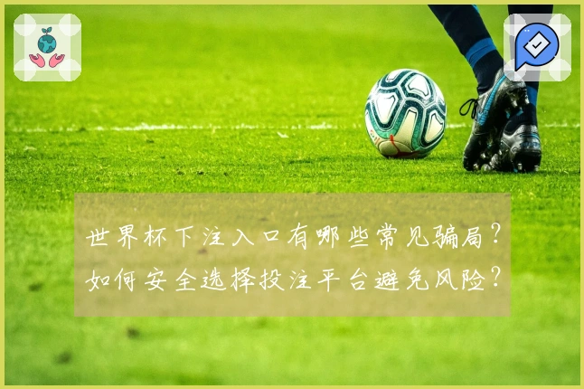 世界杯下注入口有哪些常见骗局？如何安全选择投注平台避免风险？