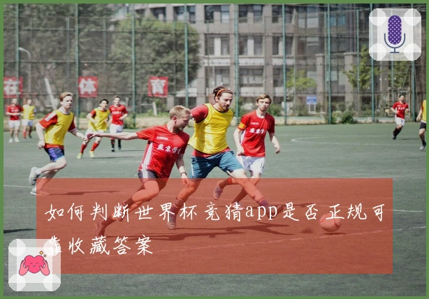 如何判断世界杯竞猜app是否正规可靠收藏答案
