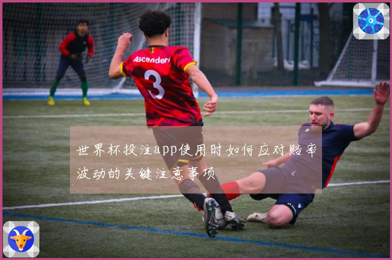 世界杯投注app使用时如何应对赔率波动的关键注意事项