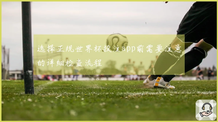 选择正规世界杯投注app前需要注意的详细检查流程