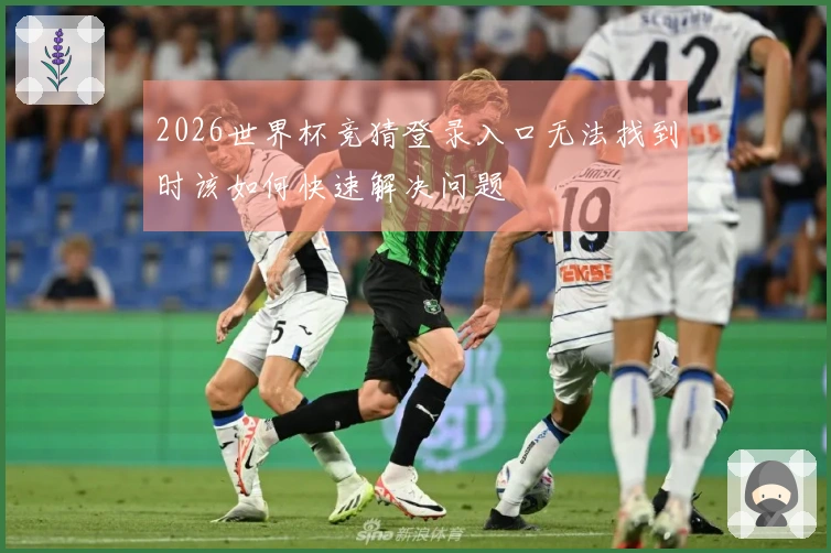2026世界杯竞猜登录入口无法找到时该如何快速解决问题