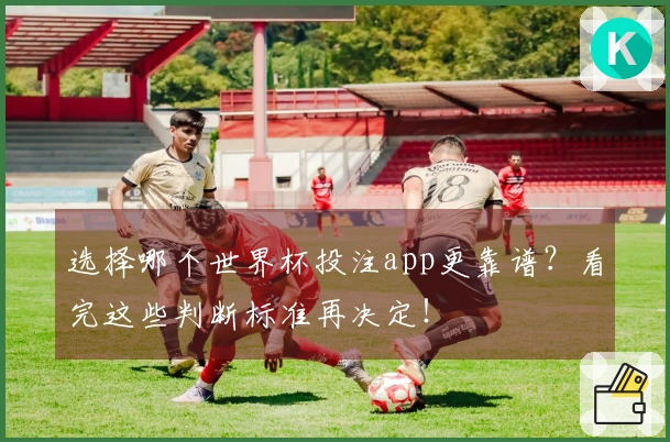 选择哪个世界杯投注app更靠谱？看完这些判断标准再决定！
