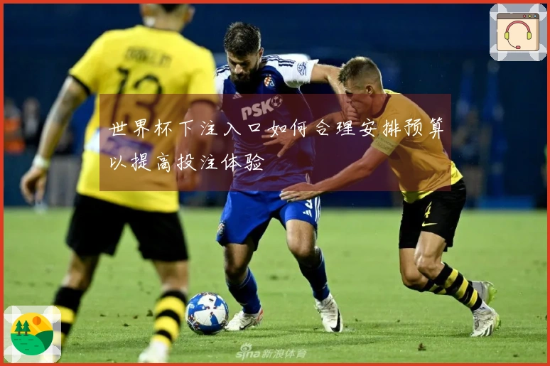 世界杯下注入口如何合理安排预算以提高投注体验