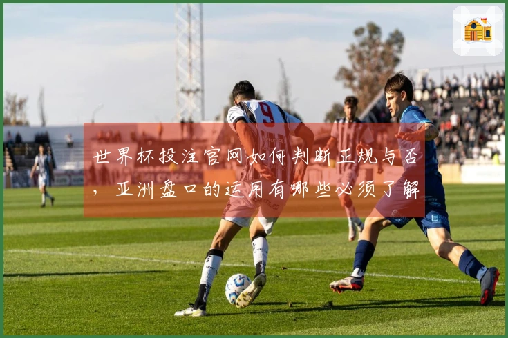 世界杯投注官网如何判断正规与否，亚洲盘口的运用有哪些必须了解的细节？