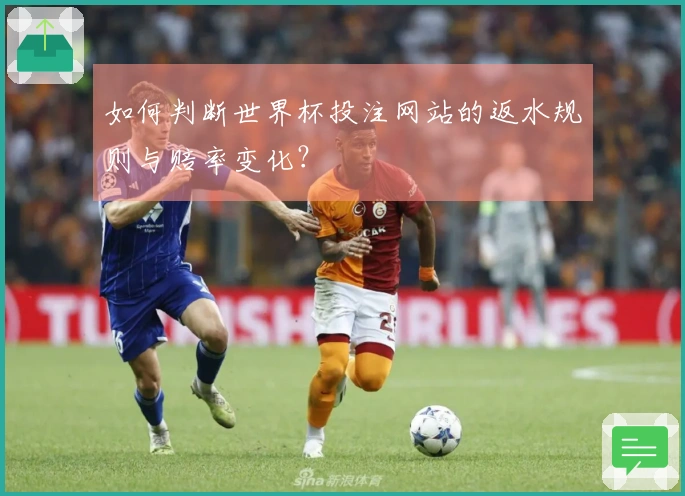如何判断世界杯投注网站的返水规则与赔率变化？