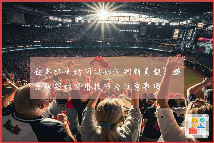 世界杯竞猜网站如何判断真假？避免踩雷的实用技巧与注意事项