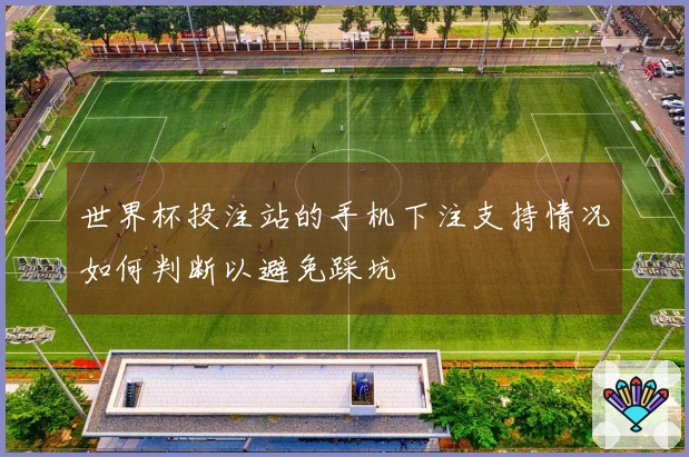 世界杯投注站的手机下注支持情况如何判断以避免踩坑