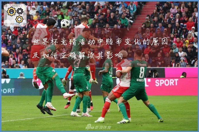 世界杯竞猜活动中赔率变化的原因及如何正确解读其影响