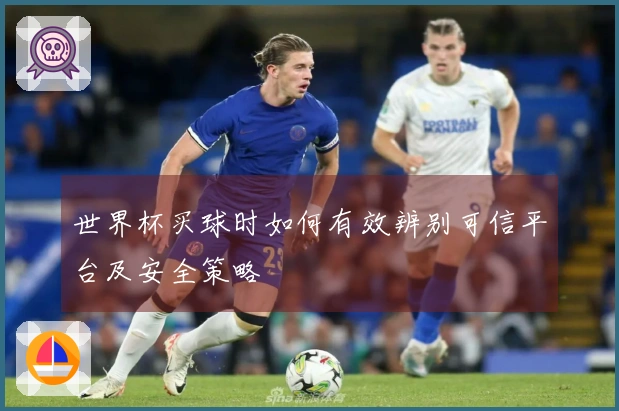 世界杯买球时如何有效辨别可信平台及安全策略