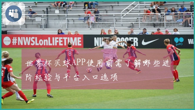 世界杯买球APP使用前需了解哪些进阶经验与平台入口选项