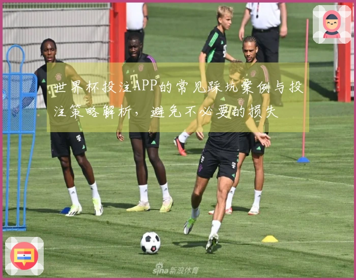 世界杯投注APP的常见踩坑案例与投注策略解析，避免不必要的损失