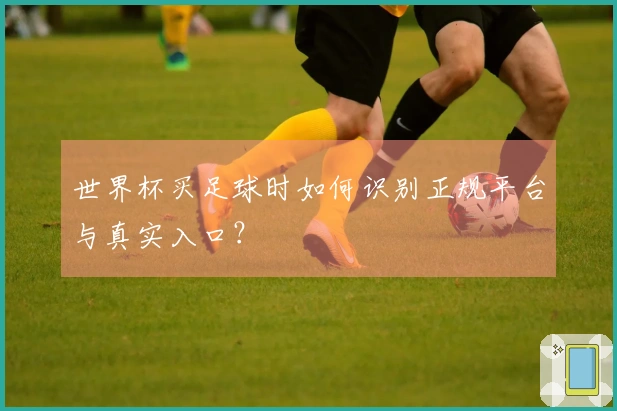 世界杯买足球时如何识别正规平台与真实入口？