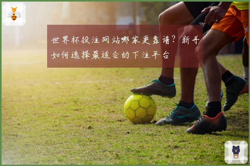 世界杯投注网站哪家更靠谱？新手如何选择最适合的下注平台