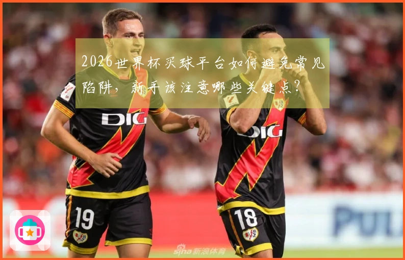 2026世界杯买球平台如何避免常见陷阱，新手该注意哪些关键点？