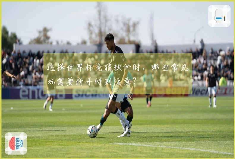 选择世界杯竞猜软件时，哪些常见坑需要新手特别注意？