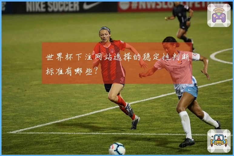 世界杯下注网站选择的稳定性判断标准有哪些？