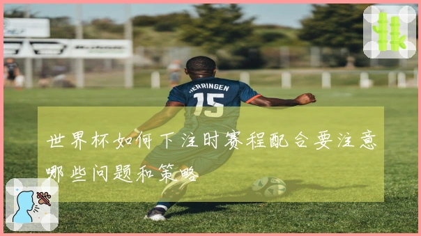 世界杯如何下注时赛程配合要注意哪些问题和策略