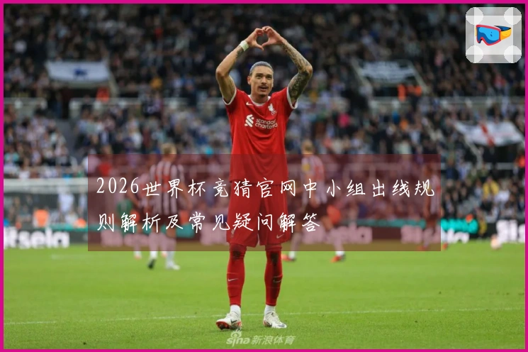 2026世界杯竞猜官网中小组出线规则解析及常见疑问解答