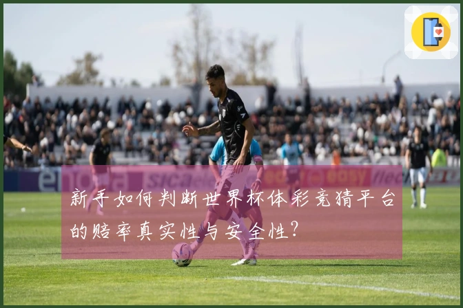 新手如何判断世界杯体彩竞猜平台的赔率真实性与安全性？