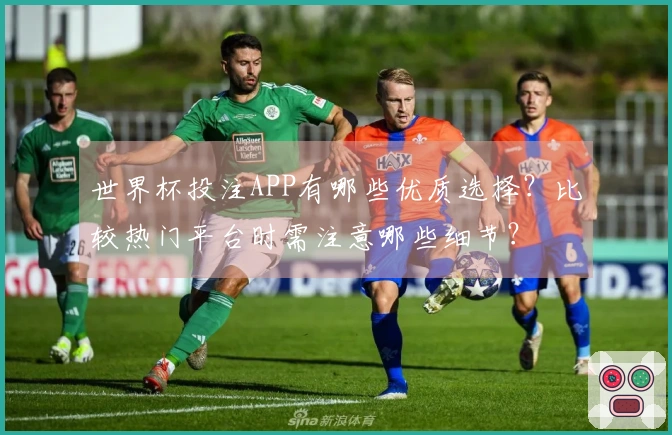 世界杯投注APP有哪些优质选择？比较热门平台时需注意哪些细节？