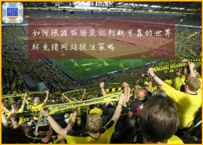 如何根据临场变化判断可靠的世界杯竞猜网站投注策略