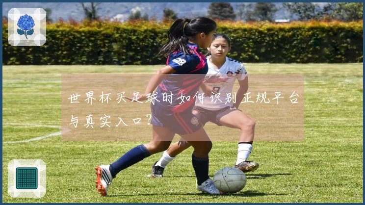 世界杯买足球时如何识别正规平台与真实入口？
