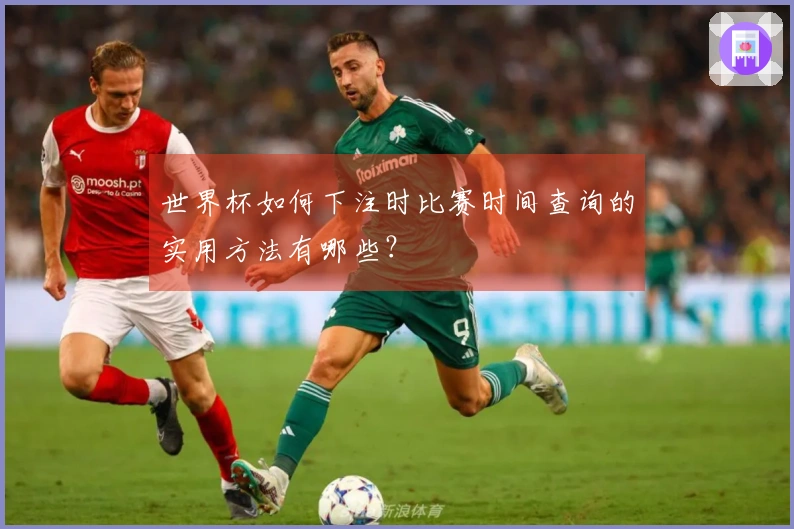 世界杯如何下注时比赛时间查询的实用方法有哪些？