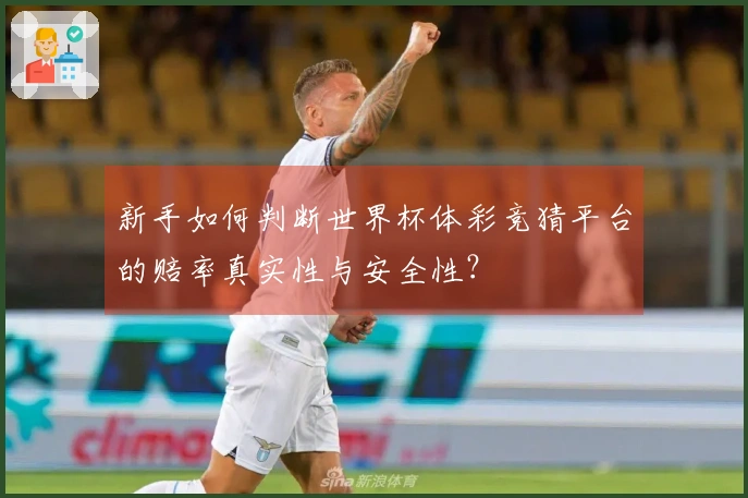 新手如何判断世界杯体彩竞猜平台的赔率真实性与安全性？