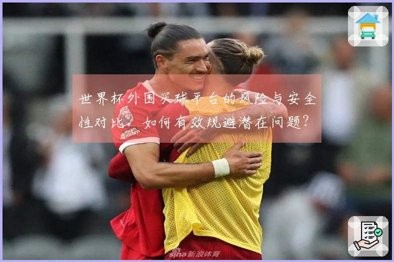 世界杯外围买球平台的风险与安全性对比，如何有效规避潜在问题？